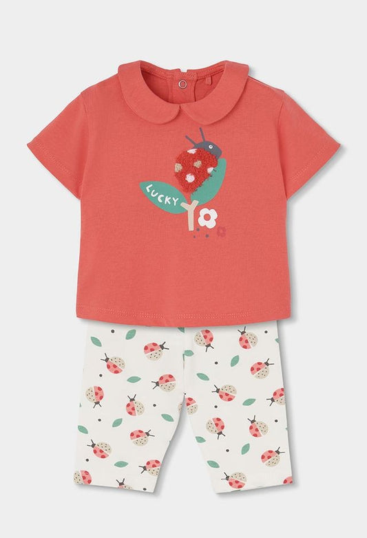 Boboli  Lady bug legging set for baby girl