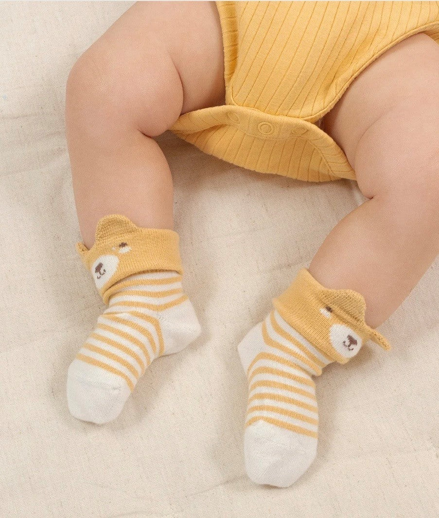 Kite Little Ted Socks Multi