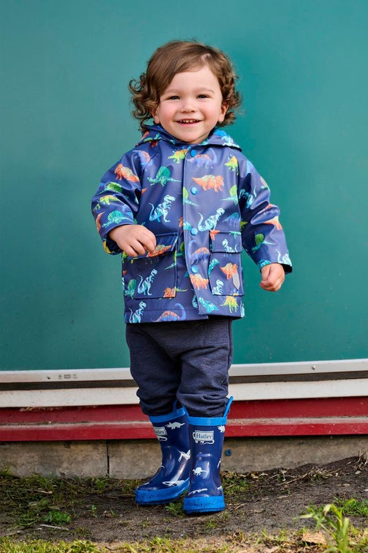 Hatley dino party snap rain coat