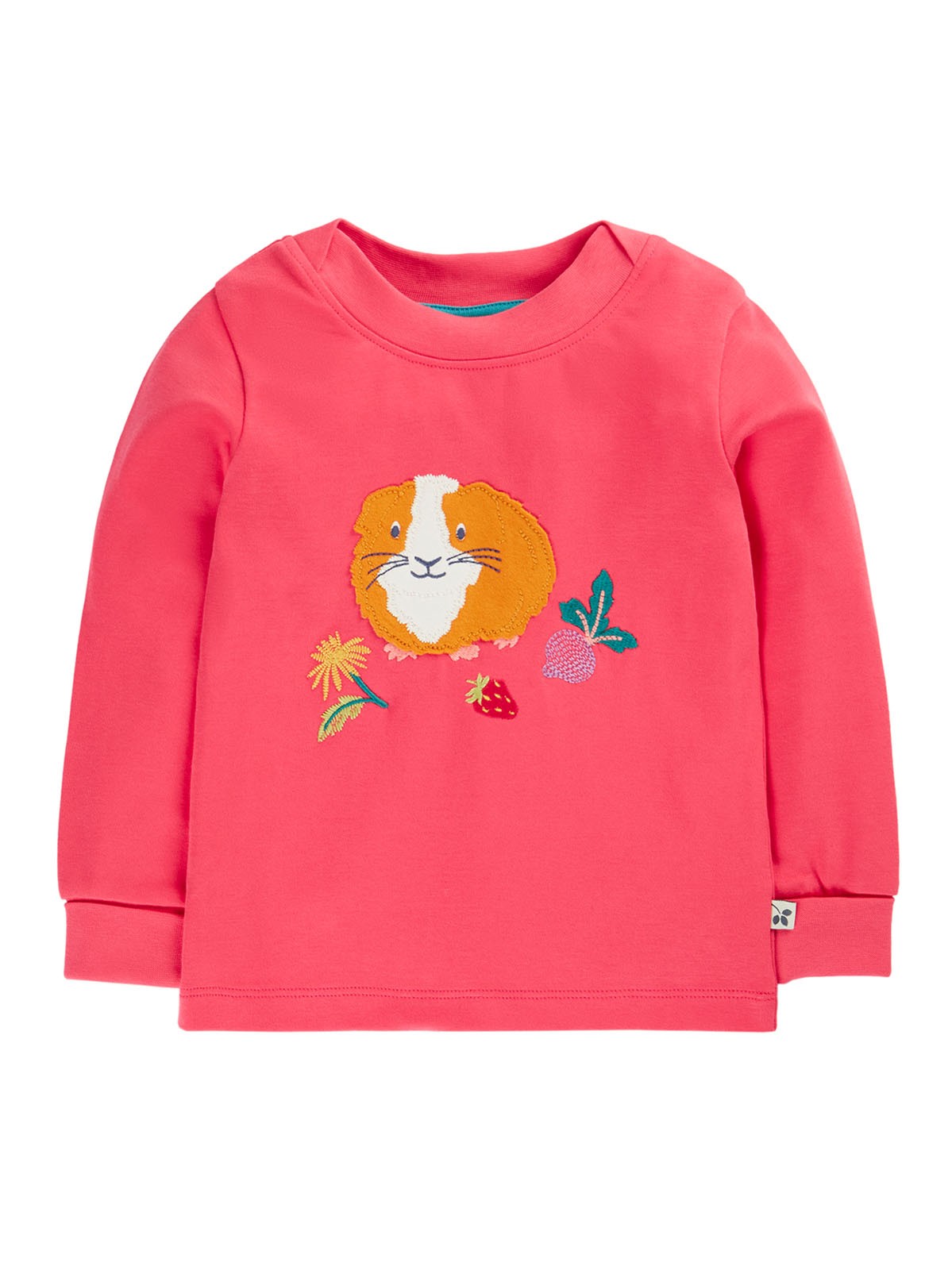 FRUGI EASY ON TOP RHUBARB/GUINEA PIG
