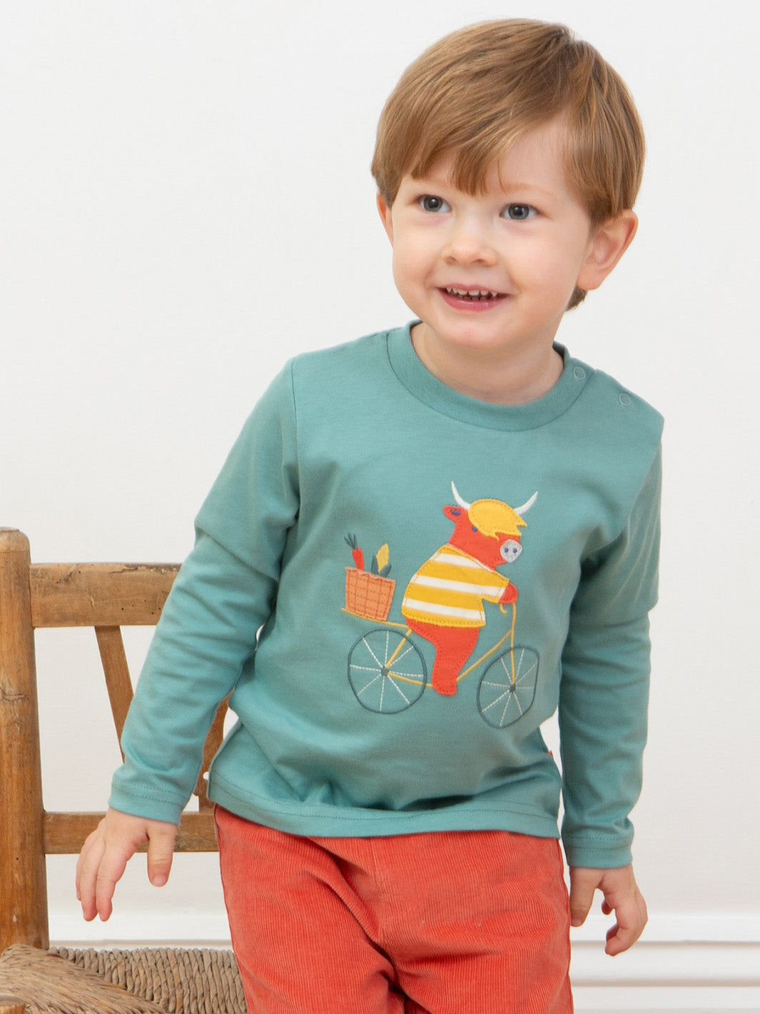 Kite Boy Ox to market Top